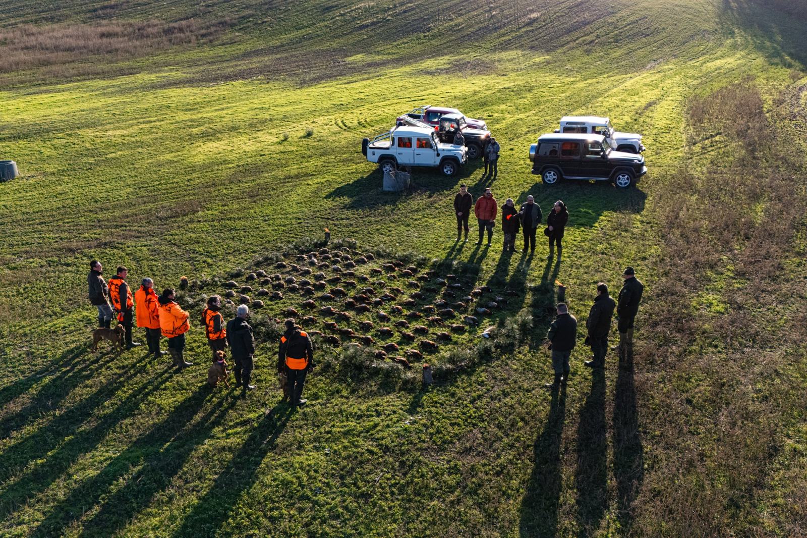 Aerial view of hunters gathered around the game tableau after a driven pheasant shoot